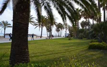 Grönområde vid stranden